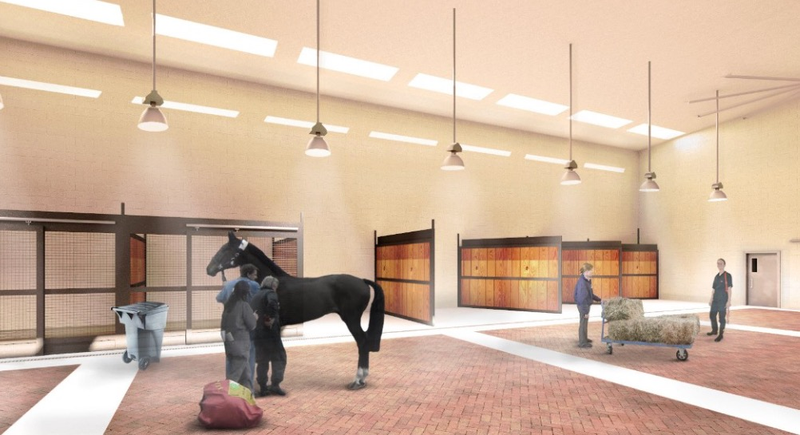 Illustration for article titled Yes, There Is an Airport Being Designed Just For Animals